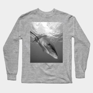 Inquisitive White Tip Shark Long Sleeve T-Shirt